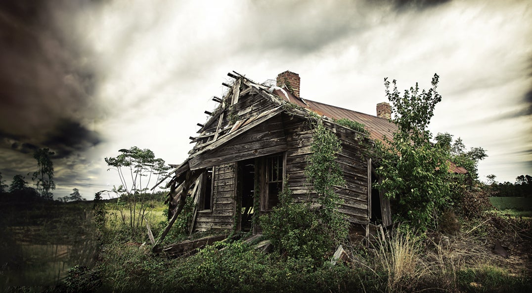old wooden shack in an overgrown field