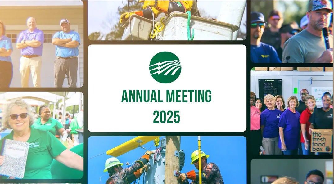2025 annual meeting results