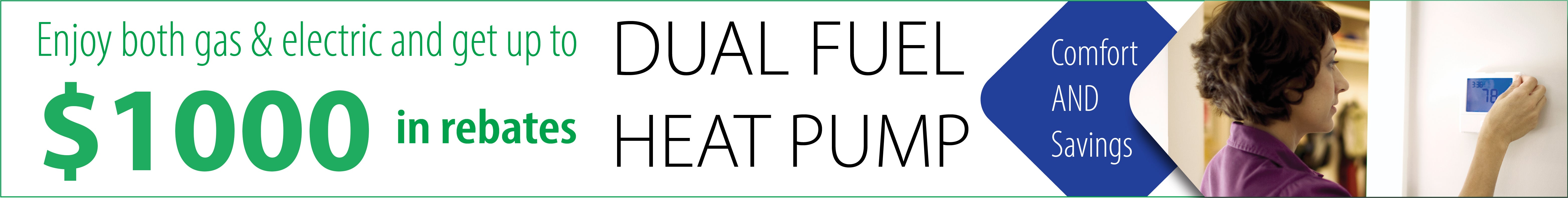 dual fuel $1000 tax credit banner