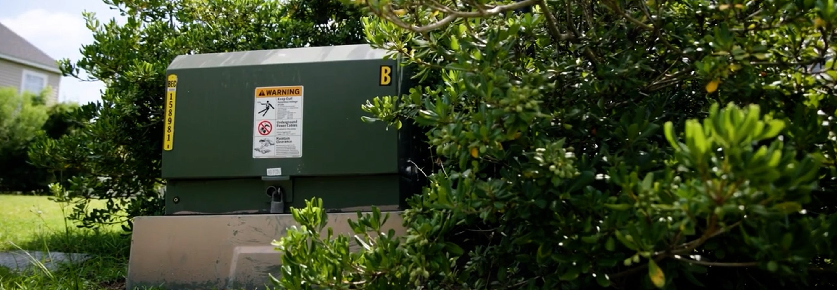 green padmount transformer surrounded by bush