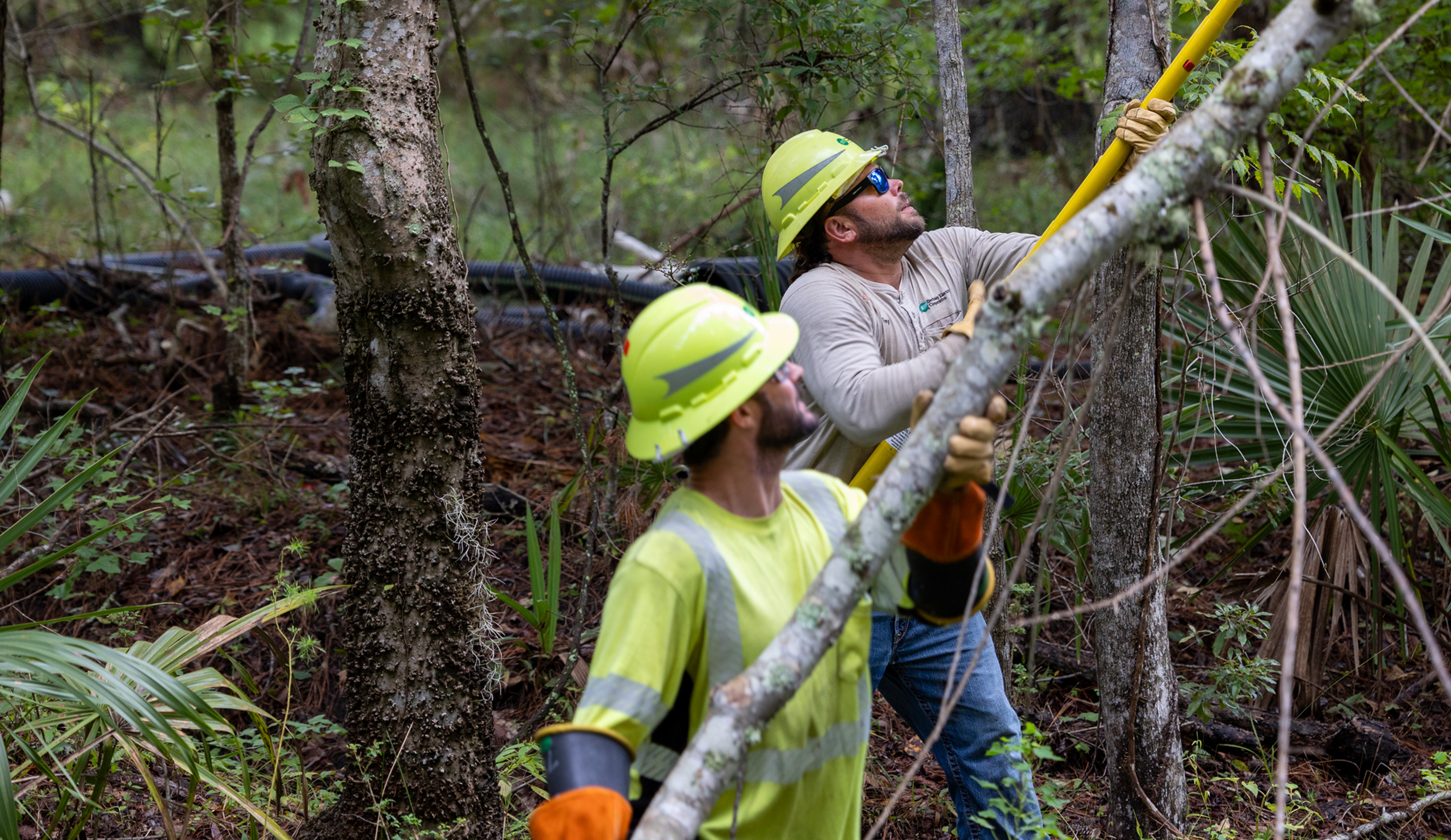 Two linemen clearing a tree limb from a power line